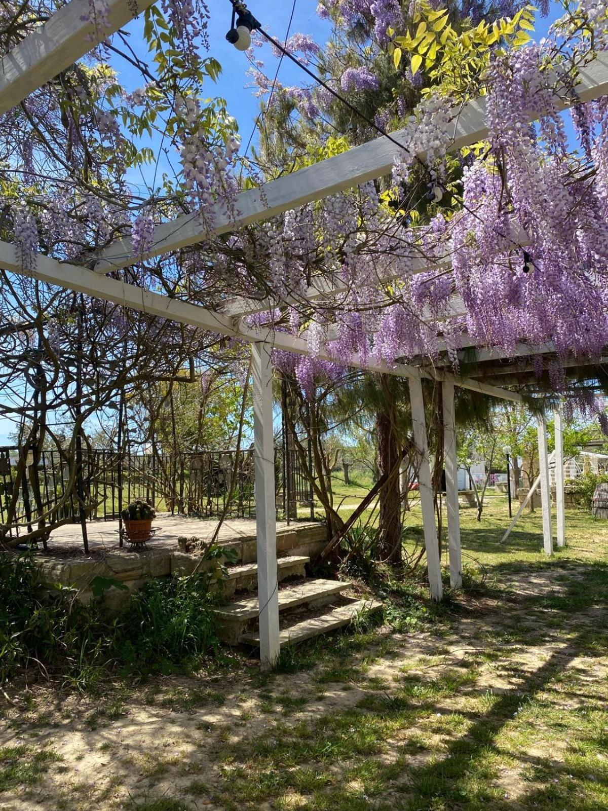 Agriturismo Tenuta La Monaca Aradeo Экстерьер фото