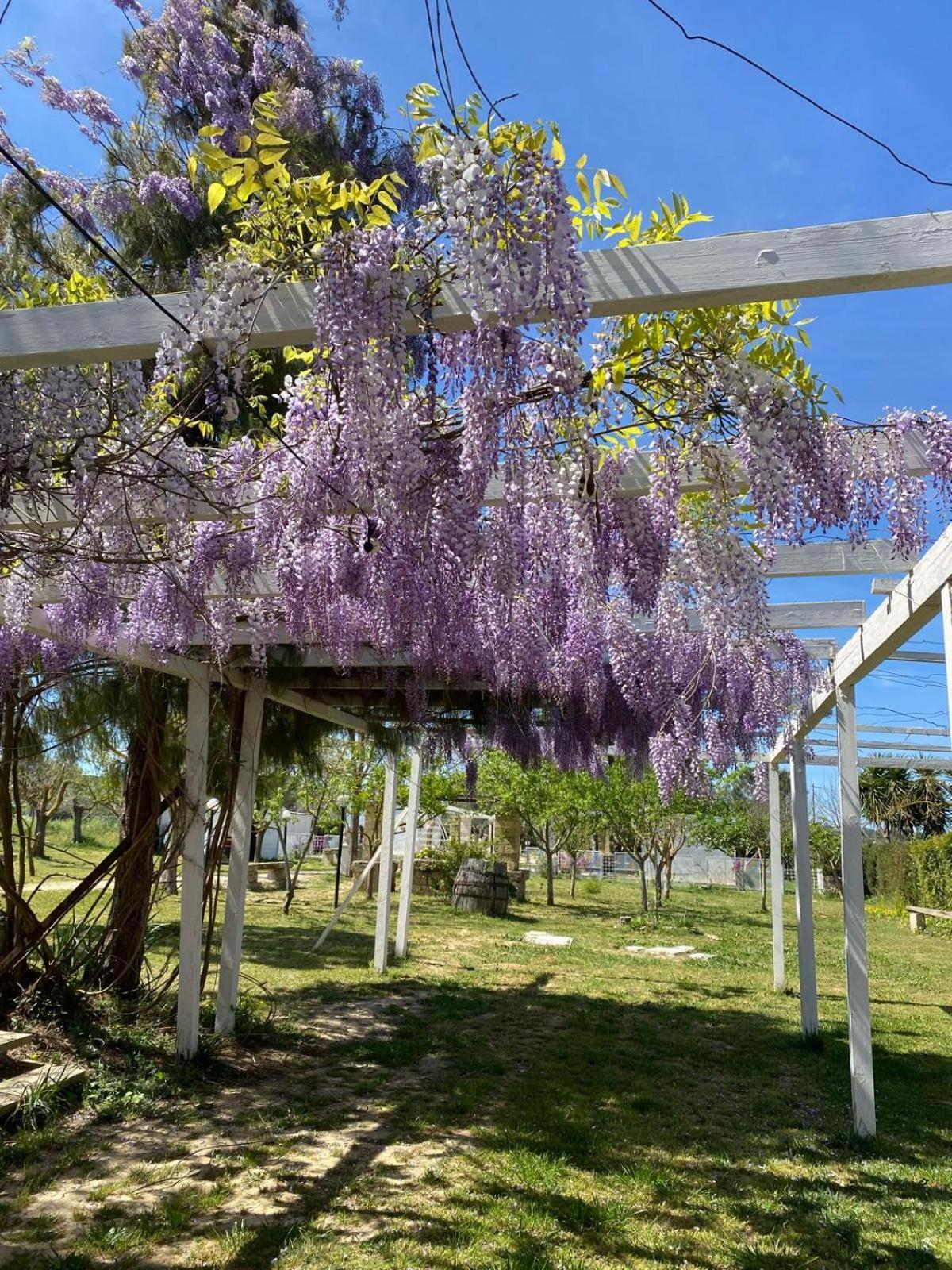 Agriturismo Tenuta La Monaca Aradeo Экстерьер фото